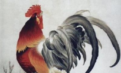 属鸡的女孩出嫁吉日(2023年属鸡的女孩几月结婚好)