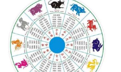 合婚子酉相破代表什么(八字合婚看什么)