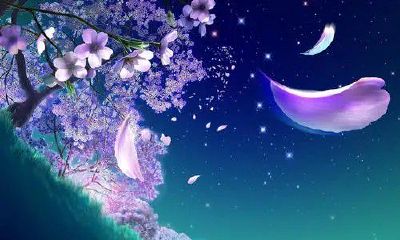 良辰吉日对什么(最准确的万年历老黄历)