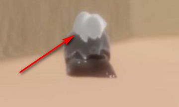 光遇峡谷先祖星盘图(吴姓男孩四字取名大全)