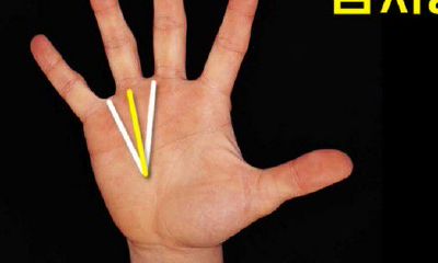 天生商人的手相(注定做生意的手相)