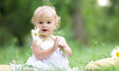 2023年属虎二月出生名字女孩(2023年农历二月出生的虎取名)