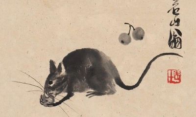 属鼠人虎年运势20232月份(为何属鼠的不怕本命年)