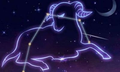 天秤白羊合得来吗(双鱼座和天秤座配吗)