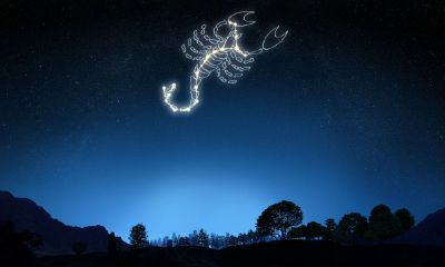 天蝎座男生和什么座男生最配(天秤座男生和什么星座最配)