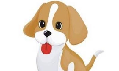 属狗的和属猪的婚姻怎么样啊(属狗和属猪的婚配好不好)