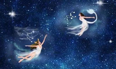 金牛和狮子合适吗(为什么狮子座和金牛座不合适)