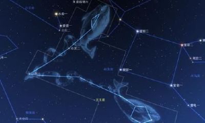 双鱼座最喜欢什么星座的人排名(哪个星座喜欢双鱼座)