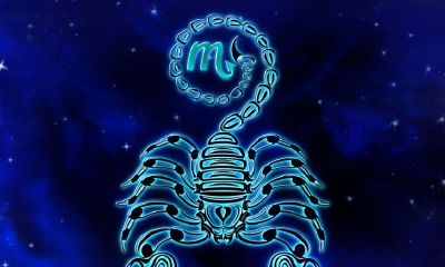 水瓶座为什么喜欢独处(水瓶座有多爱自由)