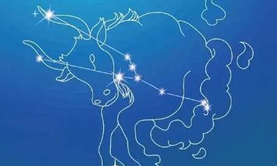 十二星座女生谁是学霸(既是学霸又是校花的星座女)