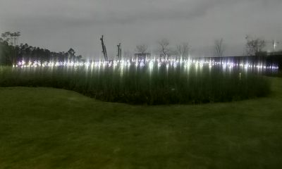 手相女生感情线分叉(手相感情线分叉图解)