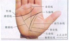 手相起点和终点(注定嫁豪门的女人手相)