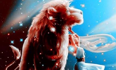 狮子座有对象的表现(狮子座对喜欢的人态度)