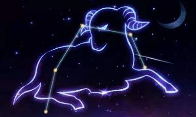 狮子座被什么星座吸引(狮子座被什么星座克制)