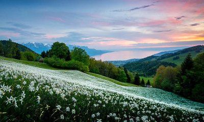 早年走偏印大运(女命走偏印大运)