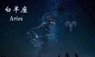 白羊座深情吗(白羊座的感情经历会是什么样的)