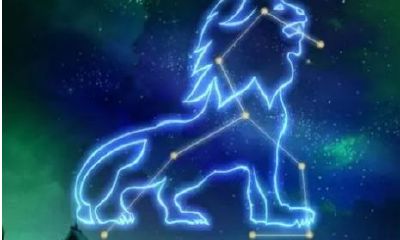 狮子座跟双鱼座配不配(狮子双鱼为什么绝配)