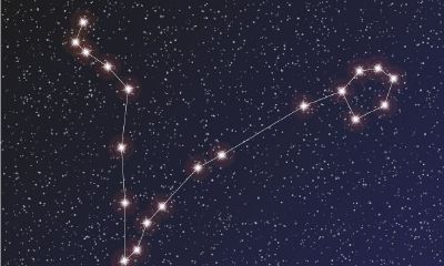 双鱼座做错事后的表现(双鱼座受委屈会怎么样)