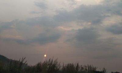 梦到已故的人活了还给人钱(女人梦到已故的长辈)