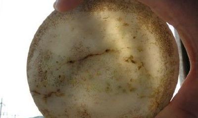 碗上的招财进宝(家用碗盘用招财进宝的碗好吗)