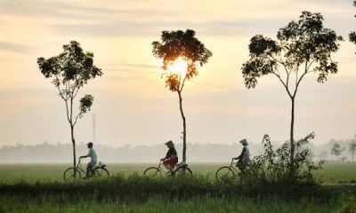 八字强弱查询计算(生辰八字算婚期计算器)