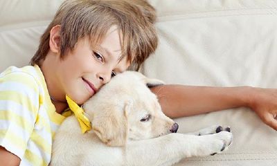 五行缺木有哪些字可以取名字(五行缺木火男孩取名)