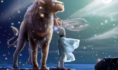 狮子星座的性格(狮子座简介性格特点)