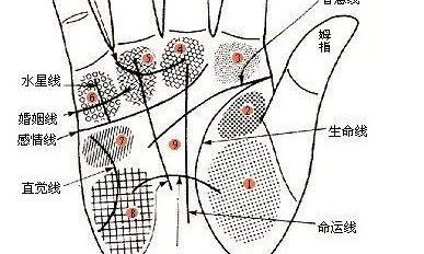 财运线手掌图(财运线在左手还是右手)
