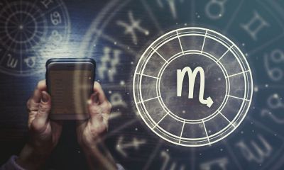 天蝎男喜欢傻白甜(天蝎男喜欢傻傻的女生)