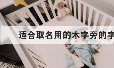 周易属木的字(辰字五行属什么)