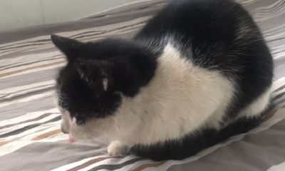 梦到已故的亲人在吃饭(梦到和已逝的亲人吃饭)