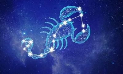 天蝎座今天的财运指数有几颗星(天蝎座有多少颗星组成)