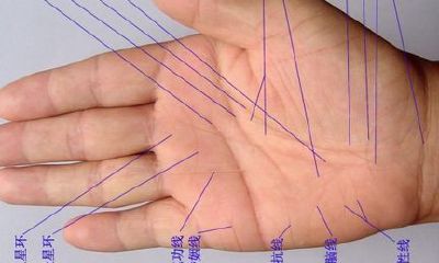 手相命理准吗(手相命理大师)