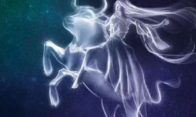 金牛座和处女座绝配(十二星座绝配表)