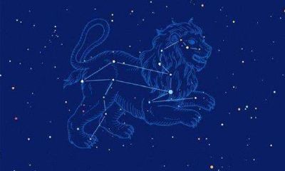 水瓶座对亲人(水瓶座对待亲情的态度)