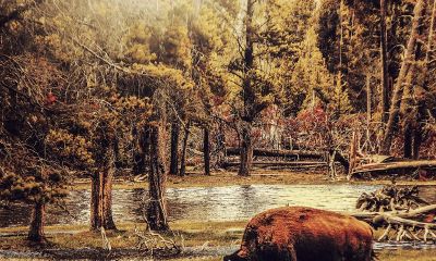 天秤座水瓶座双鱼座(天秤座和双鱼男)