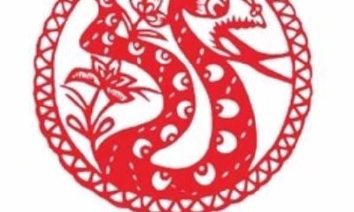 属虎女人的财运1971(女性属虎几月出生最好)