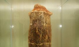 太岁泡出来的水什么味(太岁泡在水里有什么特点)