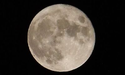 上升星座是天蝎(上升星座是天蝎座男生)