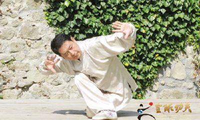 五行通臂拳一百零八式(张策五行通臂拳)