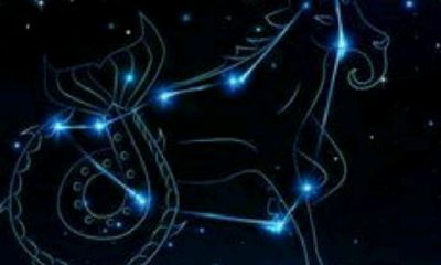 摩羯女配天秤座男(天秤男摩羯女命中注定)