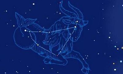 处女座狡猾诡计多端(心思狡猾的星座女)