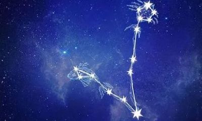 十二星座有没有双鱼座(十二星座最优秀的星座)