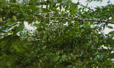 和天秤座结婚的星座(天秤座和天秤座做夫妻可以吗)