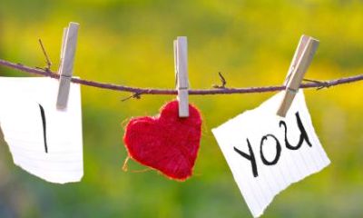 狮子座双子配对(狮子座三大克星)