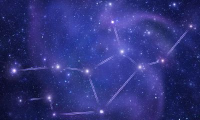 农历1982年8月11日是什么星座(农历11月22日是什么星座)