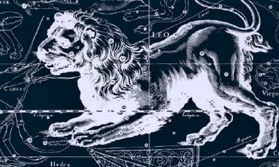 狮子座男生的性格特点分析图(白羊座女生性格特点)