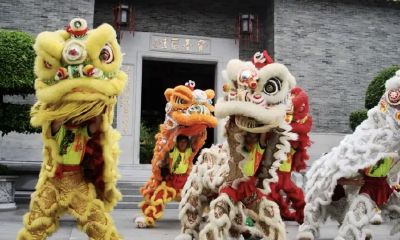 醒狮开光拿狮头(醒狮可以在家开光吗)