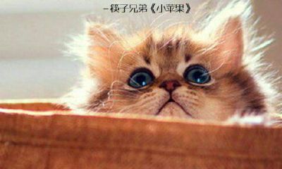 塔罗占卜旧爱有新欢没有(塔罗测他迷恋你的程度)