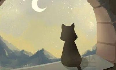 癸亥日柱2023年壬寅年运势(巨富八字甲木)